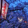 お城祭り