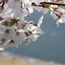 鴨川