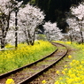 線路のある風景～春の協演～