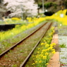 線路のある風景～ホーム～