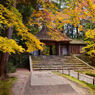 法然院、紅葉と白砂壇