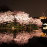 三渓園2010（１）