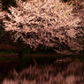 三渓園2010（３）