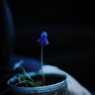 0404