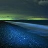 三保の夜明け