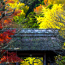 色鮮やかな山門