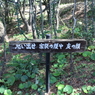 心に残る看板（美しき東尋坊より）