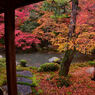 蓮華寺の庭