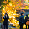 それぞれの紅葉