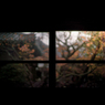 秋のぶらり京都　11