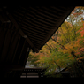秋のぶらり京都　14