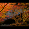 秋のぶらり京都　16