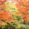 万博記念公園３