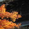 円覚寺にて－４