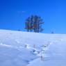 Blue &White 1