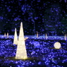 Winter Illumination (3) 15.12.14