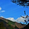 碧空