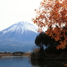 晩秋の田貫湖