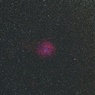 光害地で撮る天体-固定撮影でバラ星雲