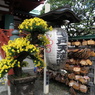 亀戸天神-4
