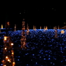 Winter Illumination (4) 15.12.22