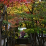 祝融山慈眼寺