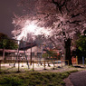 夜公園