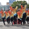 四日市よさこい⑲中京大学晴地舞さん