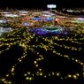 昭和記念公園W.V.I.2015_09