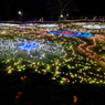 昭和記念公園W.V.I.2015_11