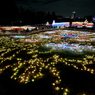 昭和記念公園W.V.I.2015_12