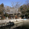 池から見た拝殿
