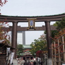 富岡八幡宮-2