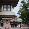 富岡八幡宮-4