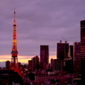東京トワイライト