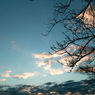朝空