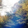 赤目四十八滝①