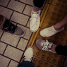 集合