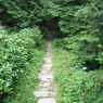 Road 88