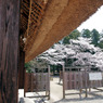 桜町陣屋