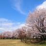 桜町陣屋