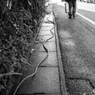 - KASHIWA 20160102 h -