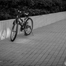 - KASHIWA 20160102 j -