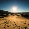 Mesquite Dune