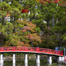 高野山の紅葉