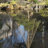 新年の日比谷公園10
