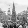 Main Street DL
