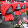 さる寺榮閑院