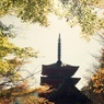 奈良・長谷寺⑮