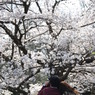 寄り添い